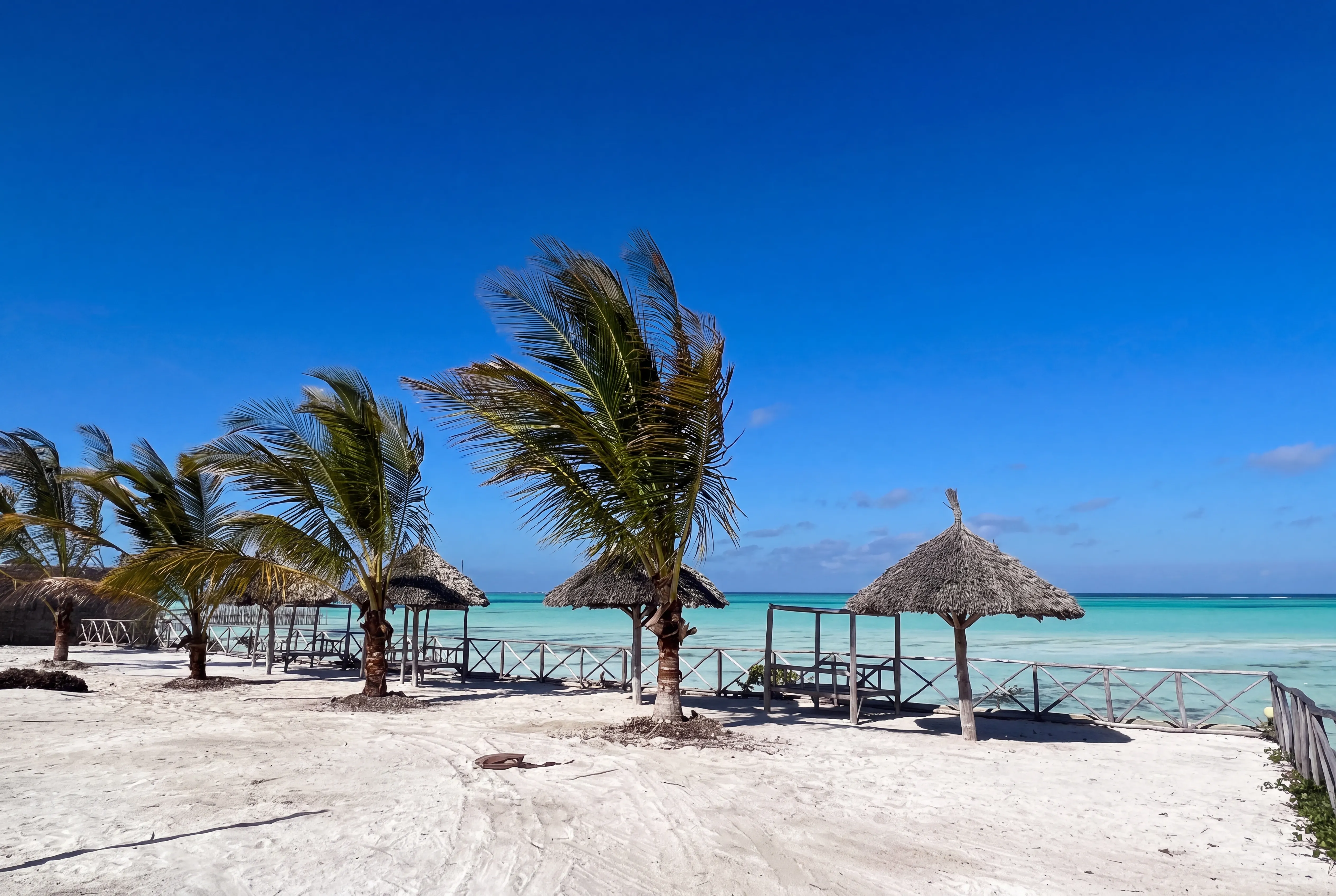 Palms leaning over turquoise water on the Jambiani lagoon under a clear sky.