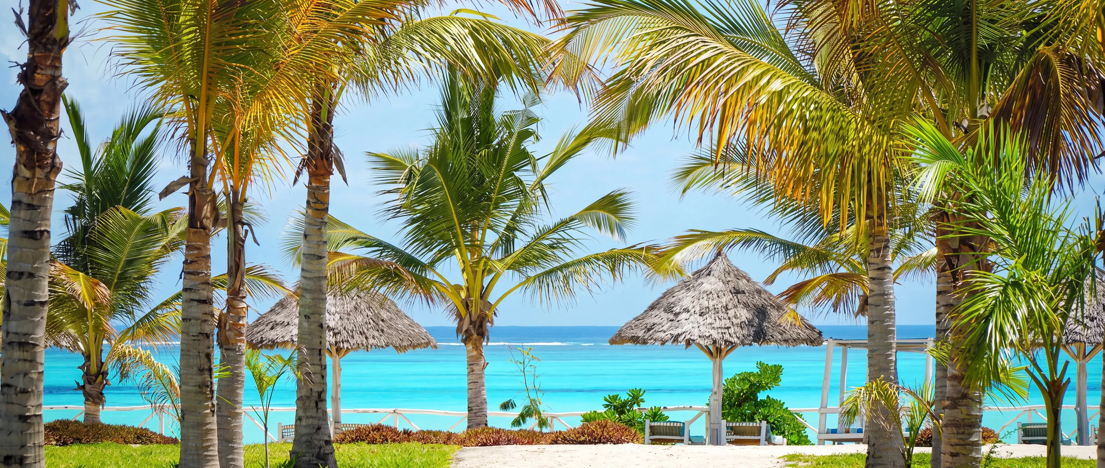 Coconut palms framing the turquoise lagoon at Raffia Boutique Hotel, Jambiani